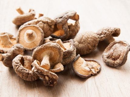 Dry Mushrooms isolated on white background. Selective focus